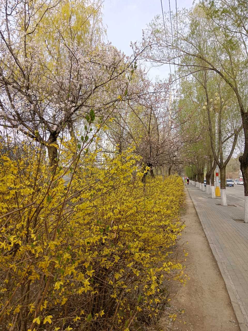 作家美文 杨占礼诗歌 花山（图2）