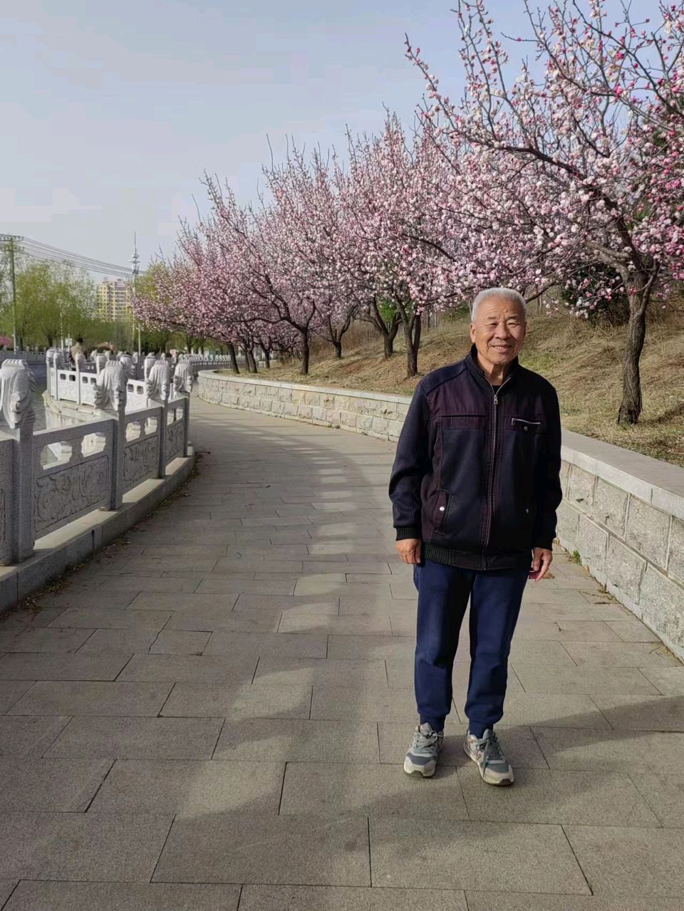 单庆联：清欢谣||巴彦诗协【1135】（图2）