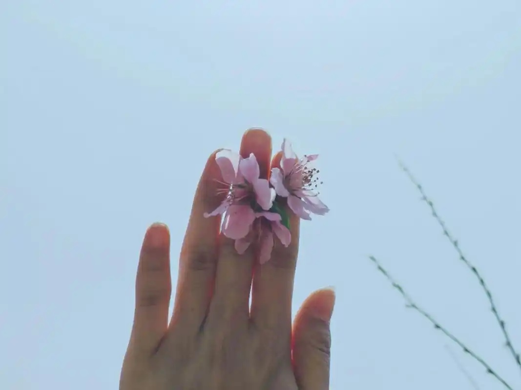 ［上海诗人］四月的约定（外一首）//文/袁维平（图5）