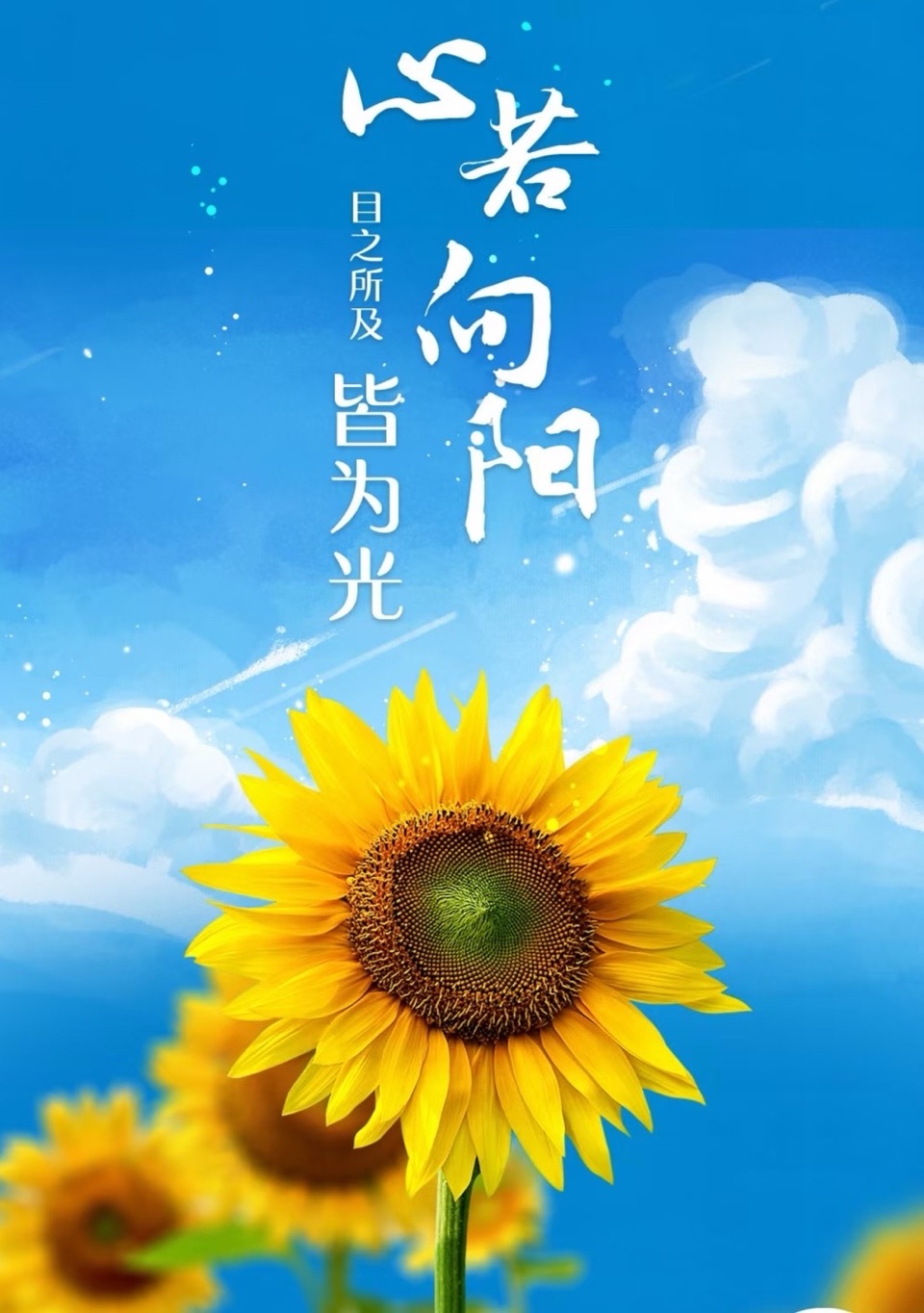 海外头条：莲心的诗《以光为翼，向暖而行》～褚化冰荐赏（图5）