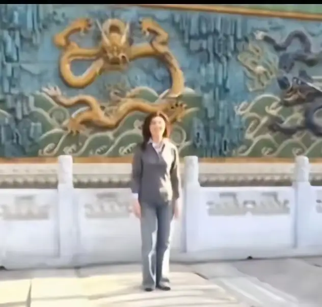 郑丽文访陆（图18）