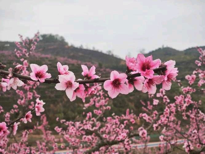 从经典看天道和人道（图2）