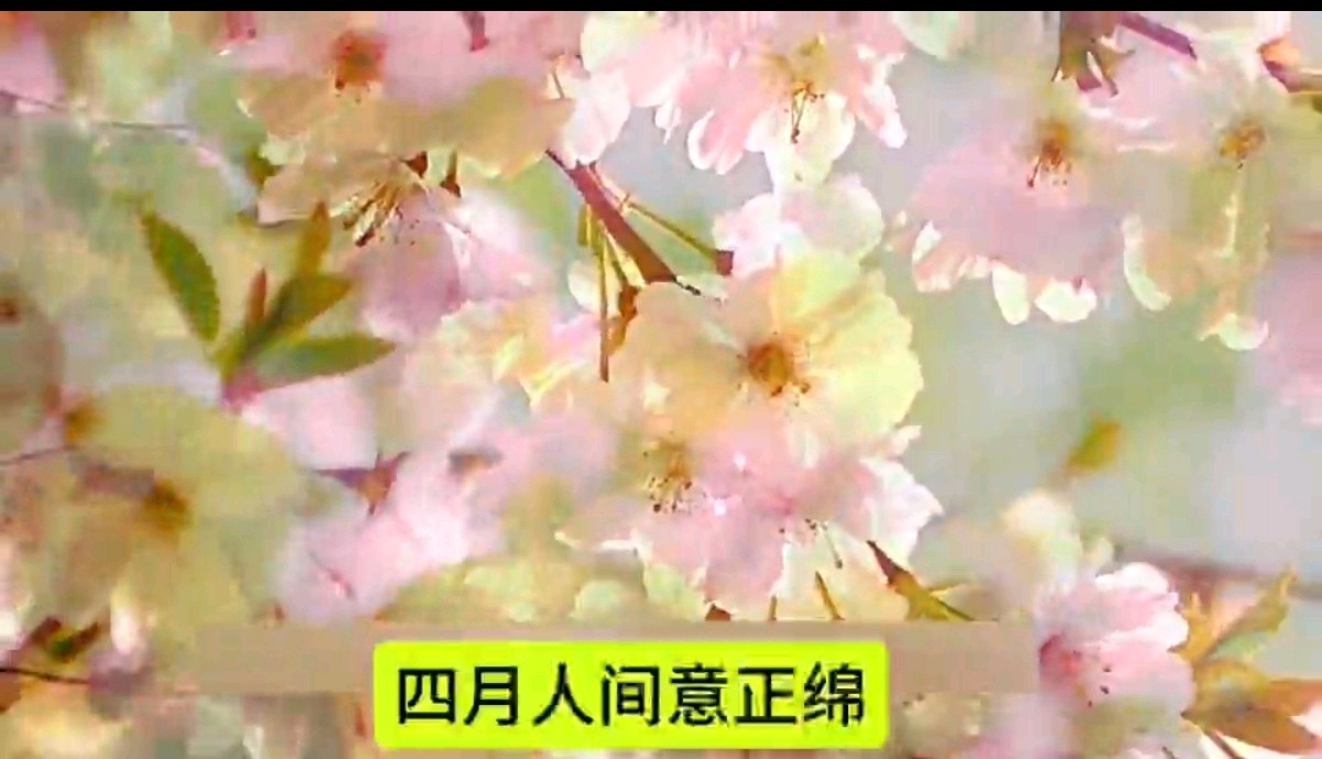 【都市头条向幸福出发编辑部】第15480期 赞林徽因三首 文 如月 主播 秋歌（图4）