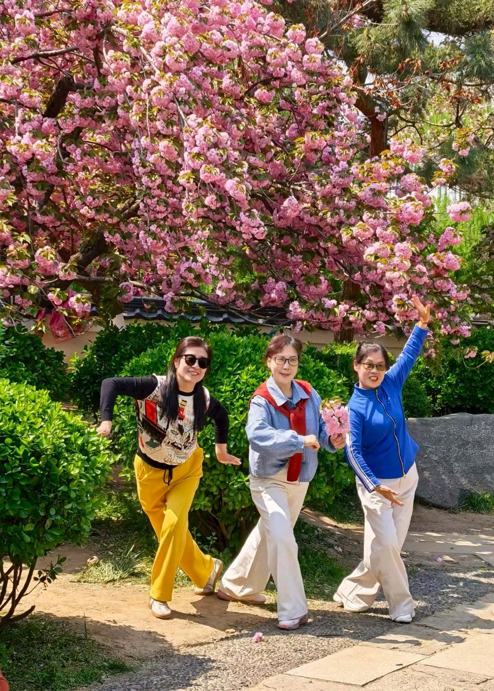 樱花色正浓🌸（图2）