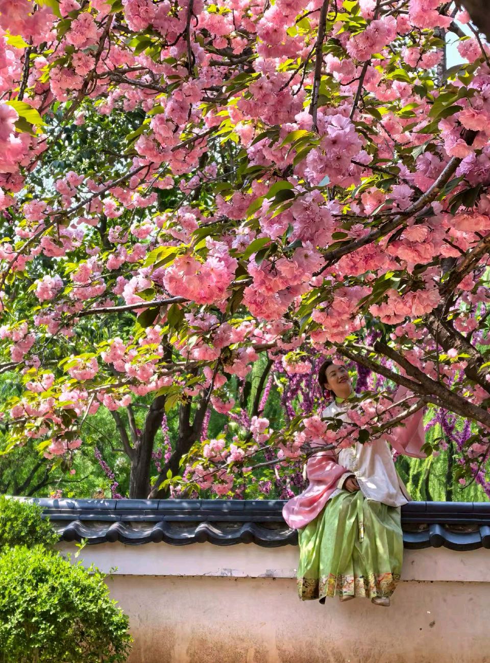 樱花色正浓🌸（图6）