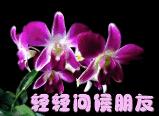《身心修炼的误区》（之一）一，追求功能，作者信阳布衣（图7）