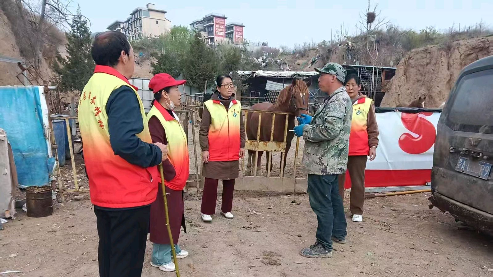 调研特色马匹养殖 赋能融入全国大市场（图3）