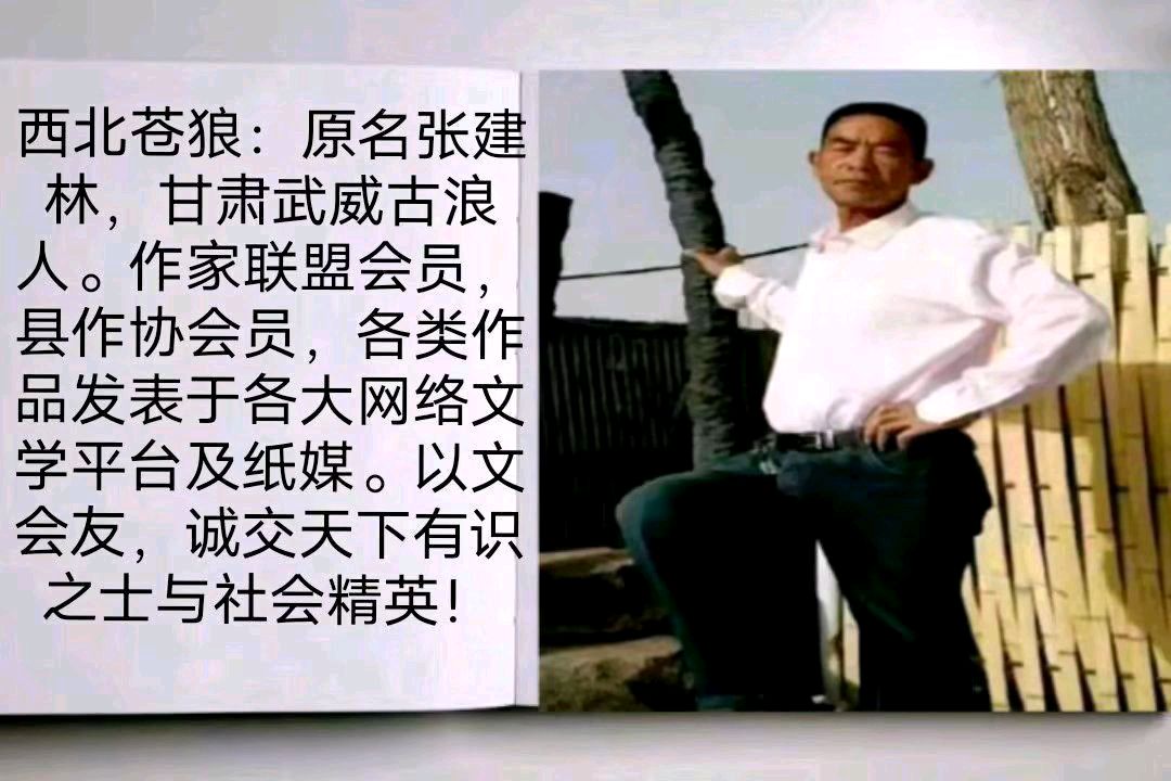 《烈焰》作者/西北苍狼 主编/胡琴