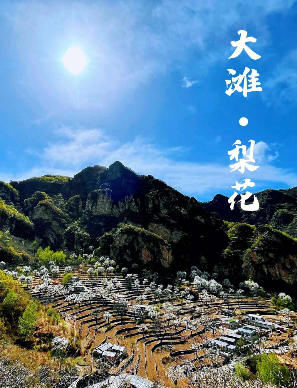 凤楼春-四月十四日大滩梨花园寄句～刘瑞宝(北京)（图11）