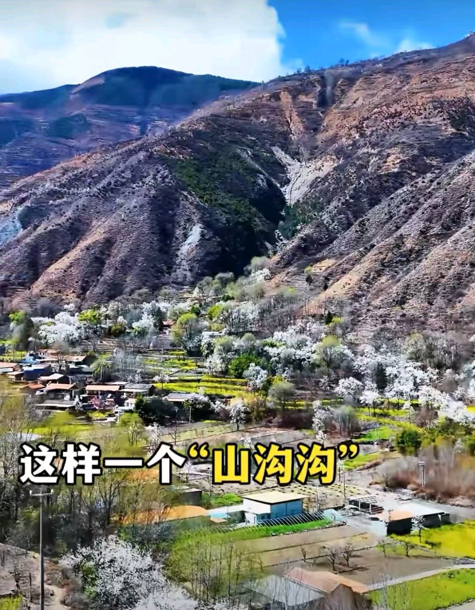 凤楼春-四月十四日大滩梨花园寄句～刘瑞宝(北京)（图16）