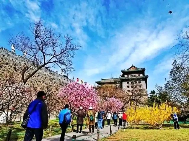 【三月的内容】作者任学路 朗诵者玉亭（图2）