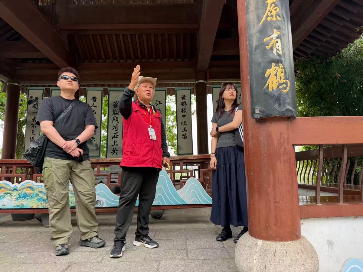 春意｜周智敏（黄鹤楼诗词讲解志愿者）（图4）