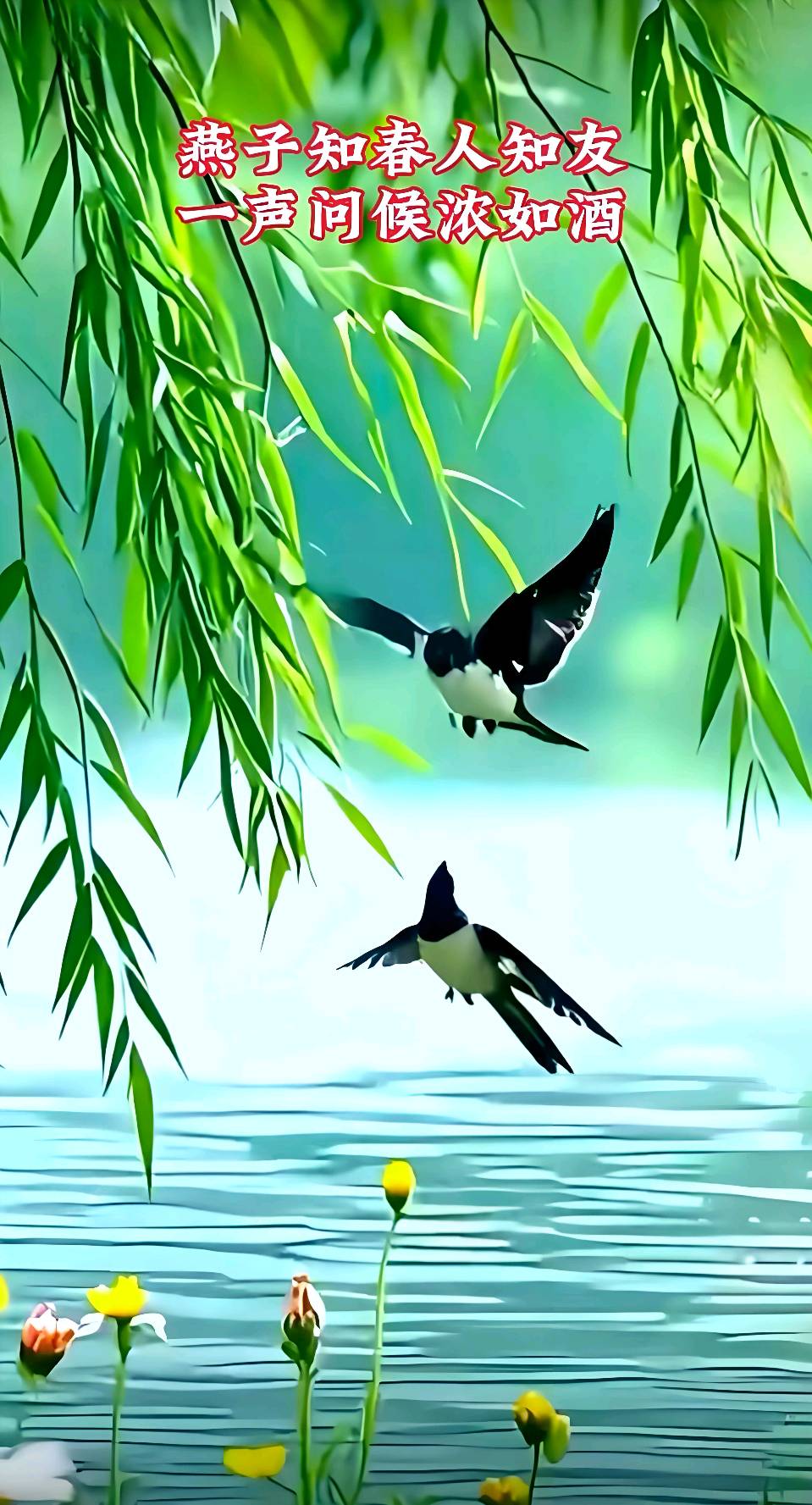 画堂春-天上飞来春（组合）田荷花（黑龙江）（图11）