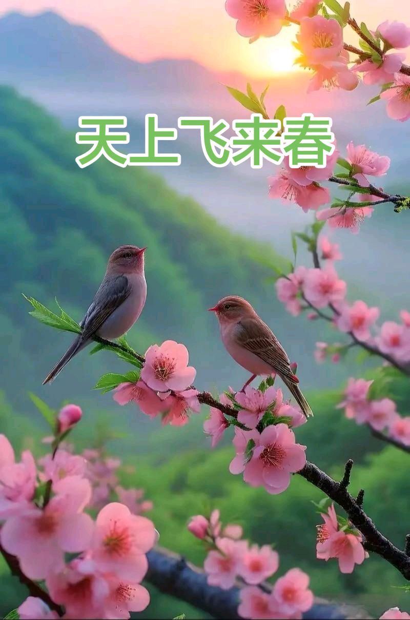 画堂春-天上飞来春（组合）田荷花（黑龙江）（图12）