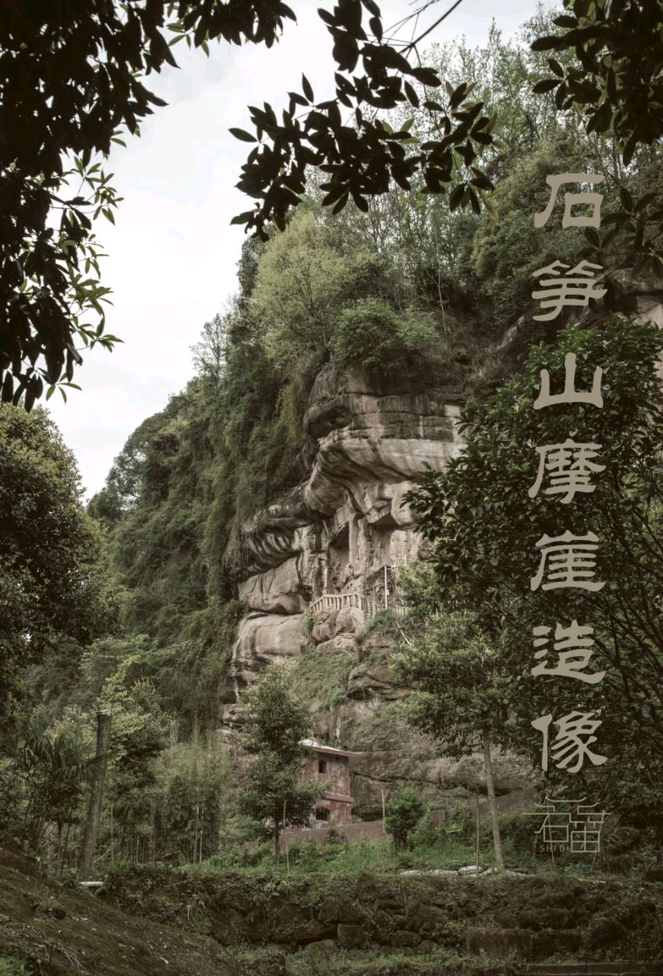 春赏蓉城油菜花（组合）李邦海（四川）（图26）