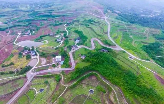 春赏蓉城油菜花（组合）李邦海（四川）（图14）