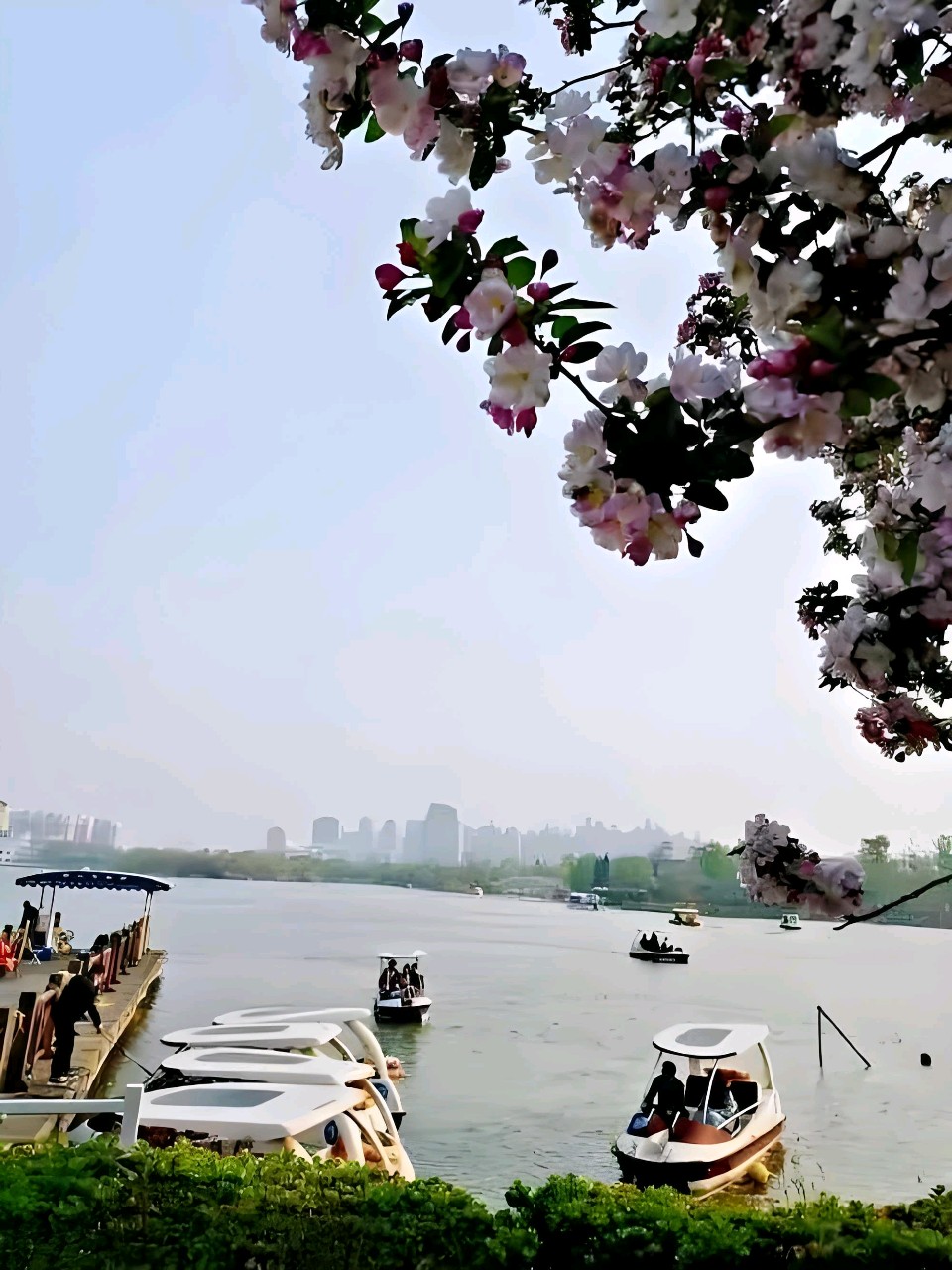 中华红旗国际诗社～北京头条～我在四月里放飞心情：作者/雨下罗加：朗诵/边城（图13）
