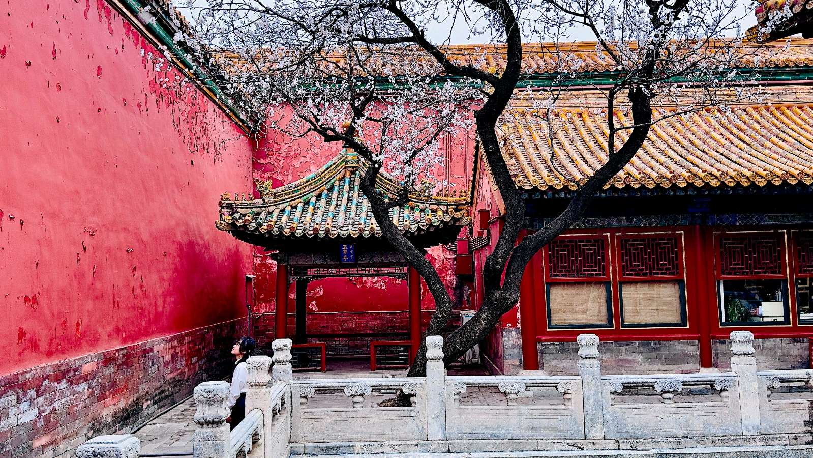 量子诗歌•文同文化2026年第一期诗歌擂台赛（图25）