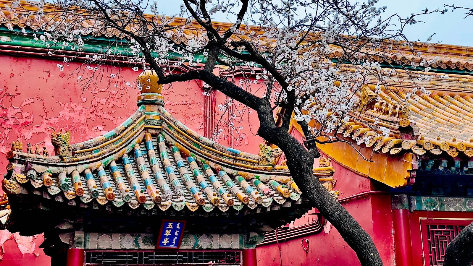 量子诗歌•文同文化2026年第一期诗歌擂台赛（图31）
