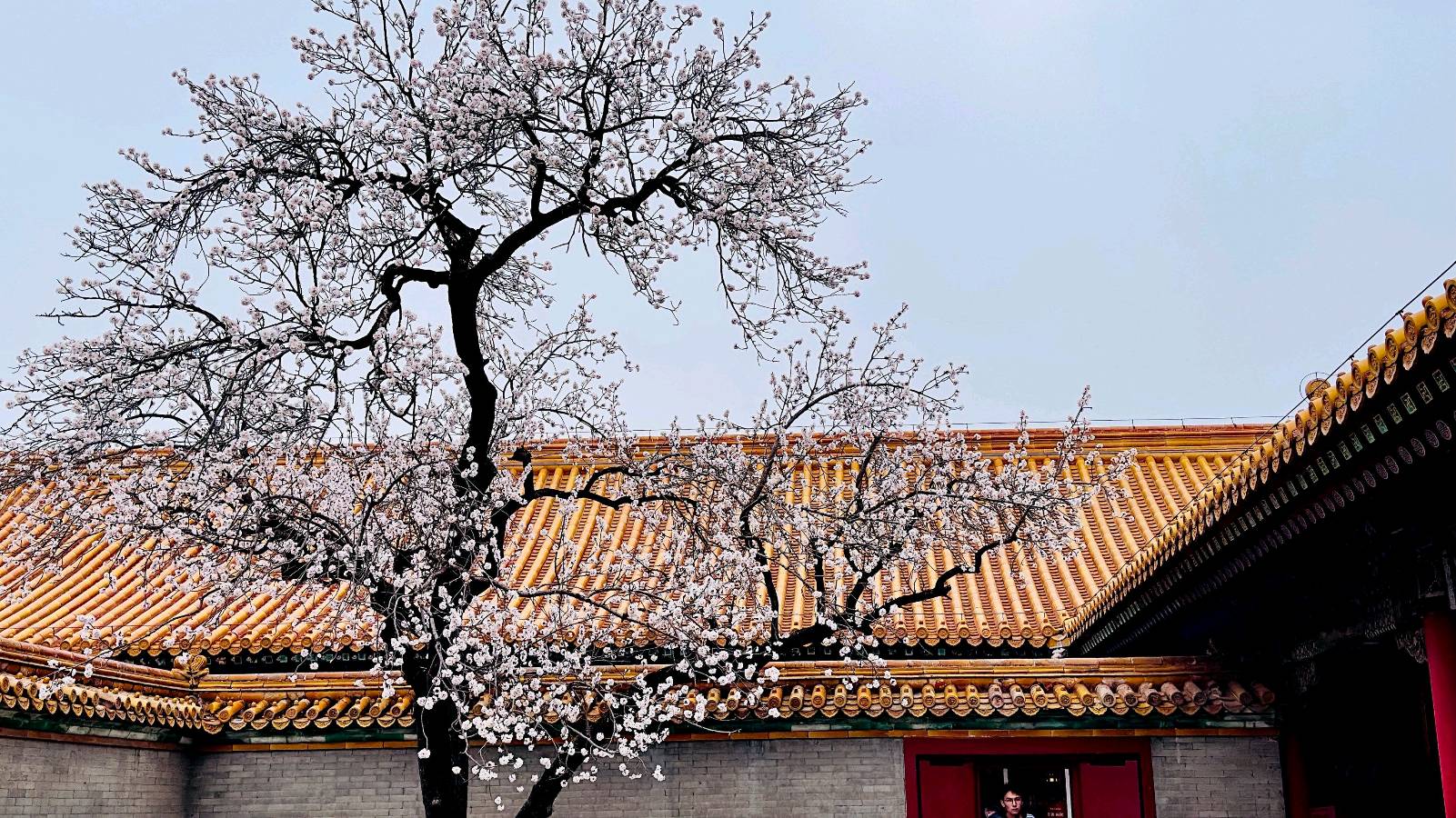 量子诗歌•文同文化2026年第一期诗歌擂台赛（图46）