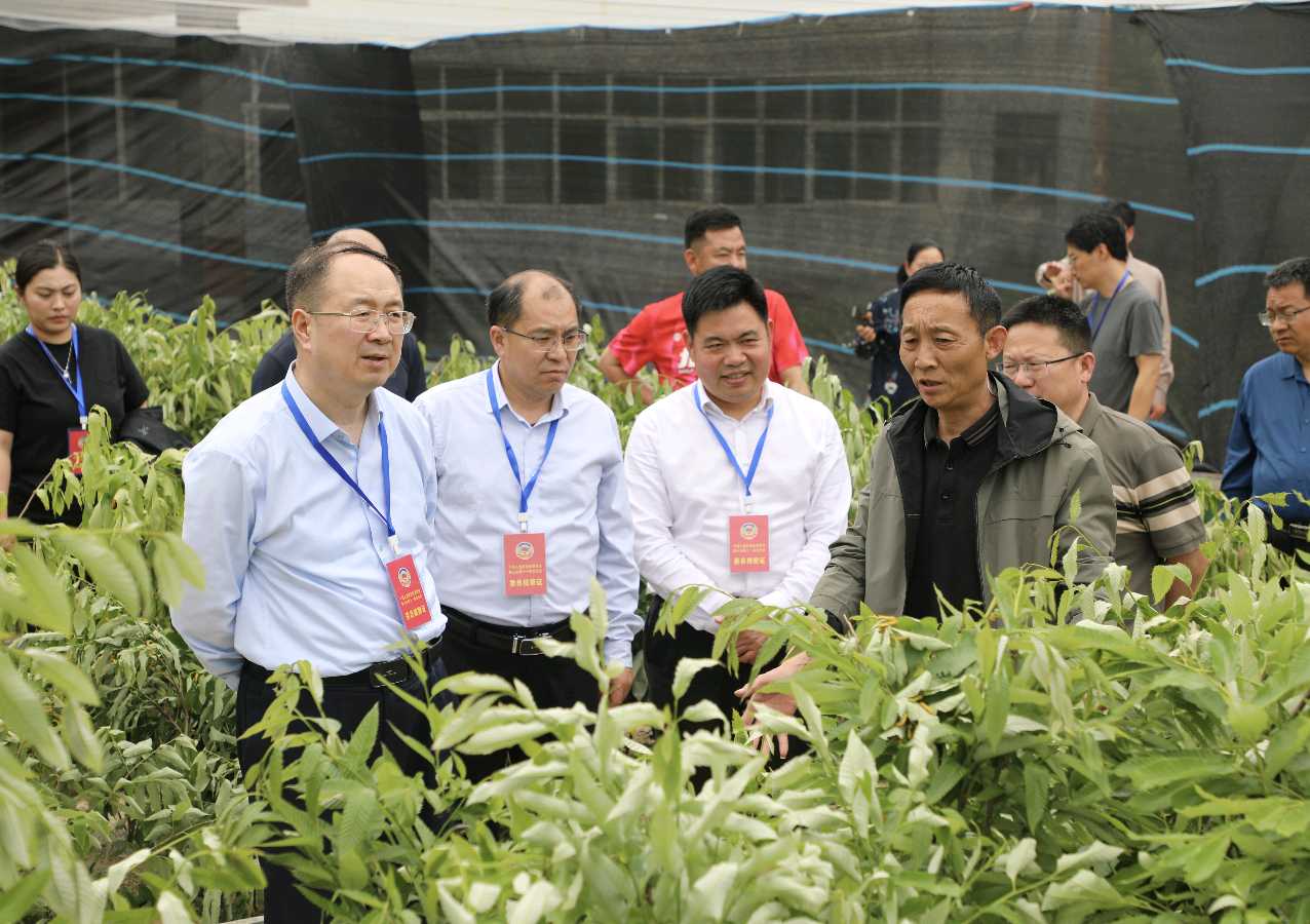 河南：鲁山县政协开展“擦亮‘中国柞蚕之都’名片 推动蚕业高质量发展”专题视察调研