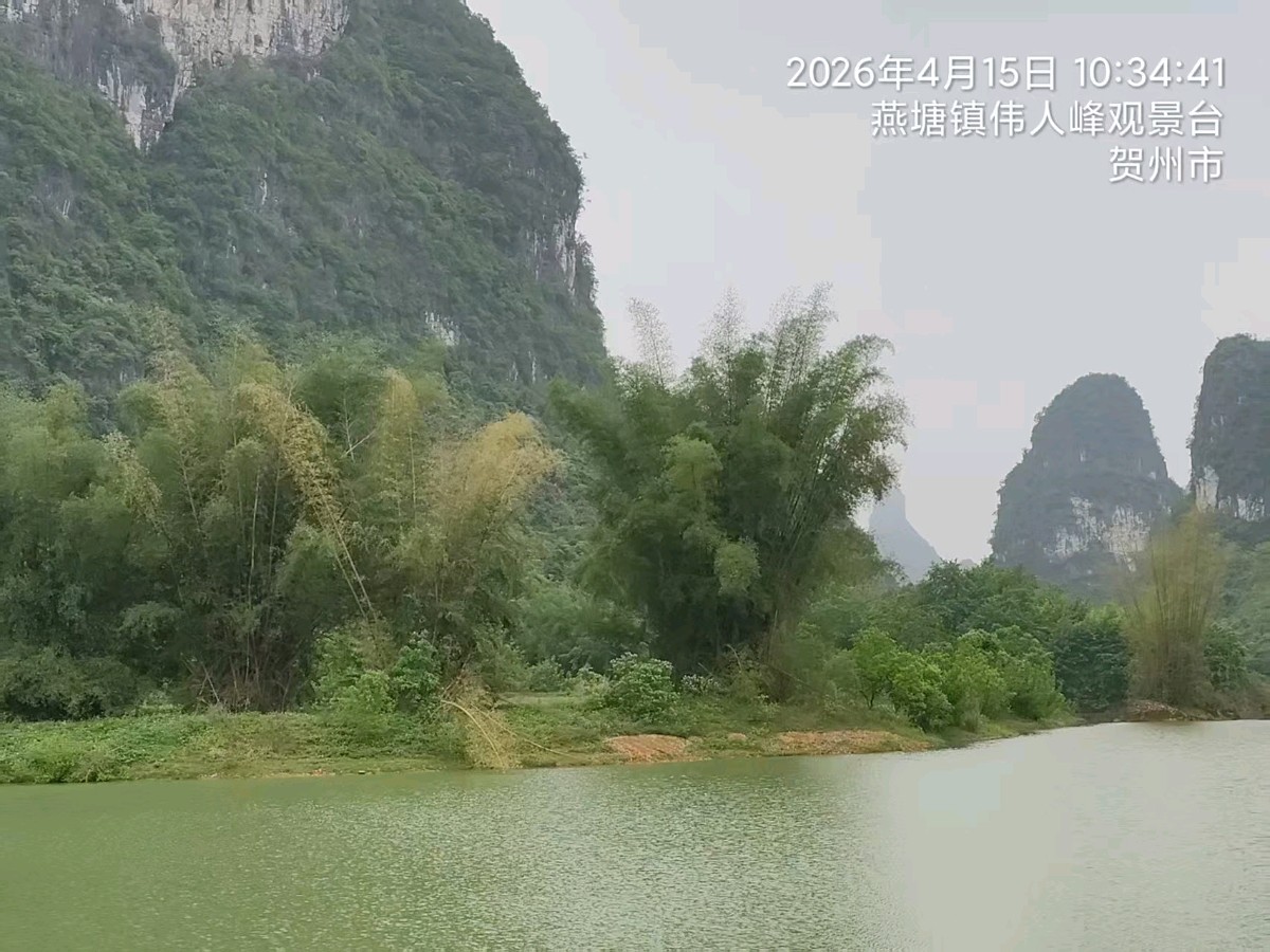 中华新韵七绝~贺州钟山/詹成（图6）