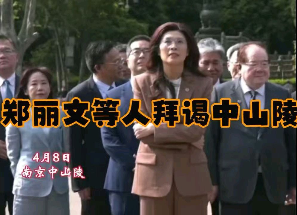 有感郑丽文谒中山陵～李宣财（福建）（图15）