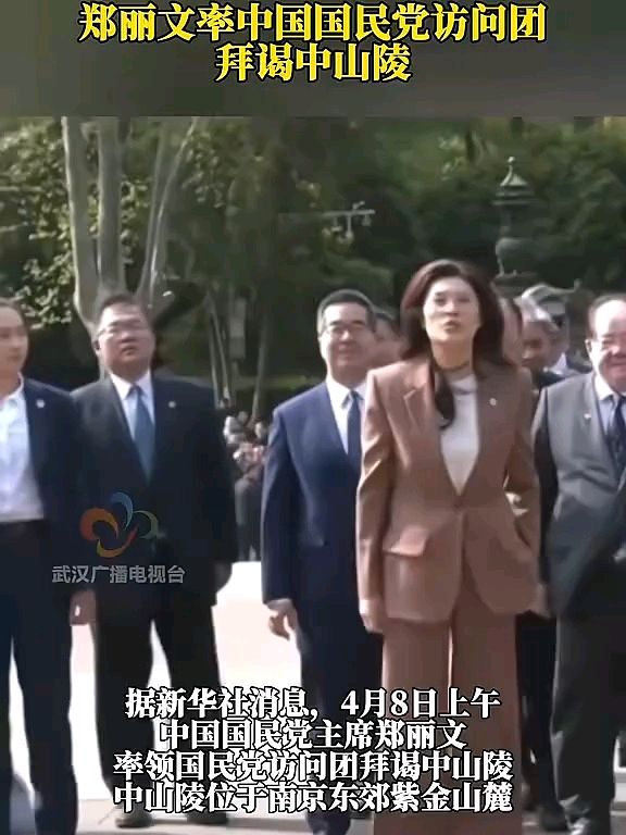 有感郑丽文谒中山陵～李宣财（福建）（图11）