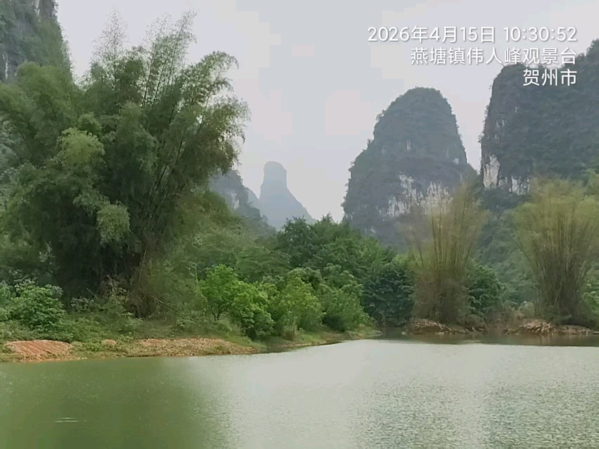 中华新韵七绝~贺州钟山/詹成（图9）