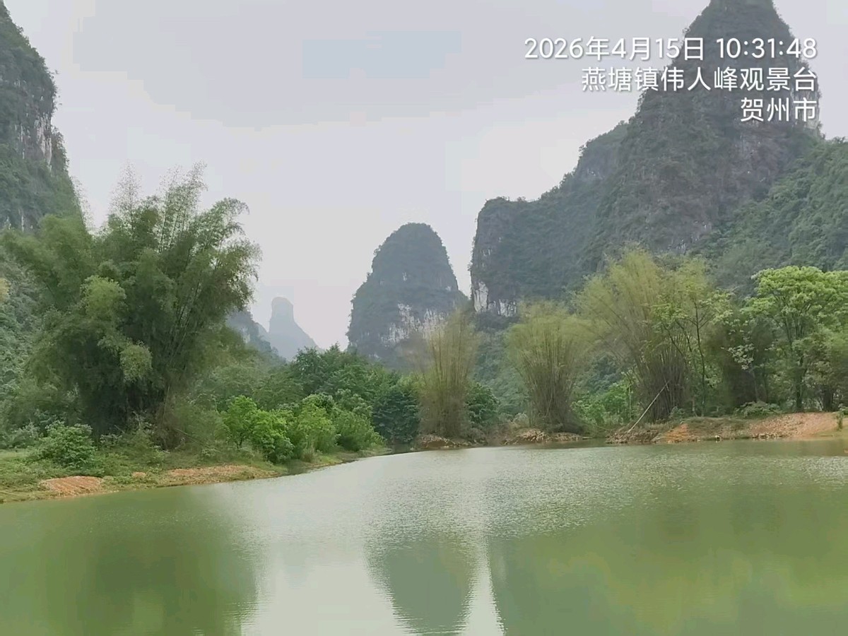 中华新韵七绝~贺州钟山/詹成（图8）