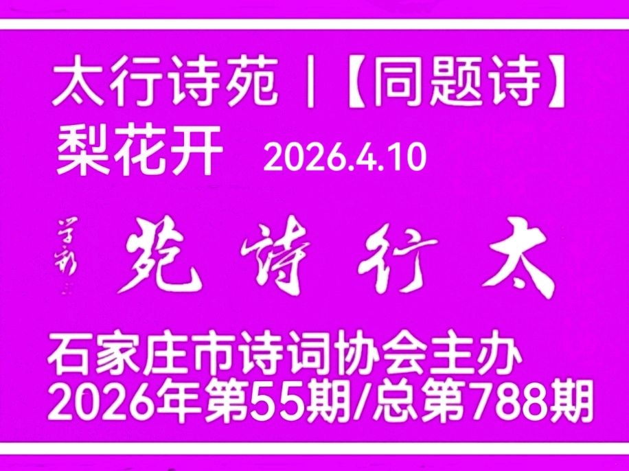鹧鸪天·梨花开文/青山新雨（图3）