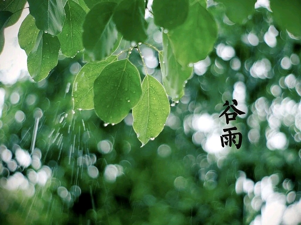 谷雨节令咏怀金夜（兰州）（图3）