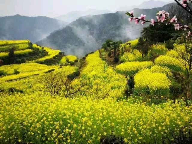 【中国诗人】文坛*七绝 • 春韵长留张世洪（江西）（图4）