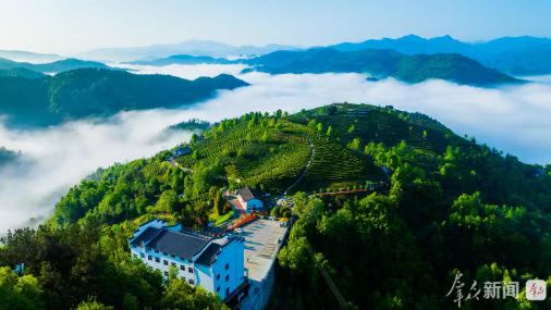 【荣耀中国】文学社*七言排律·暮春吟作者/李德政（陕西）（图4）