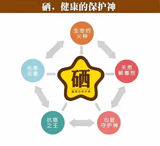 化学元素歌（中华真文韵）作者//周海峰（黑龙江）（图17）