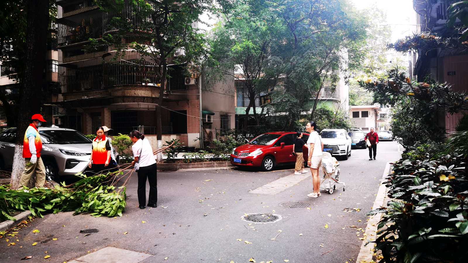 消除隐患剪树枝 美化环境进社区（图3）
