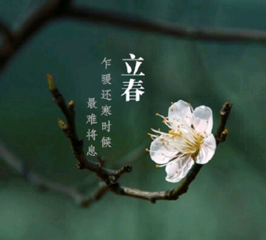 【荣耀中国】文学社*四月吟戴德兴（图4）