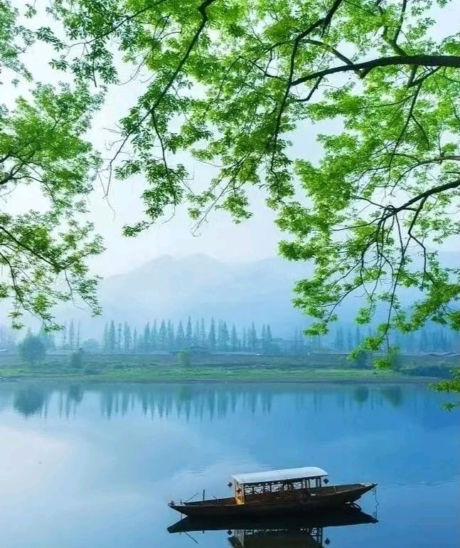 【京华诗词选刊】加刊《谷雨》诗词合刊 请您欣赏(图16)