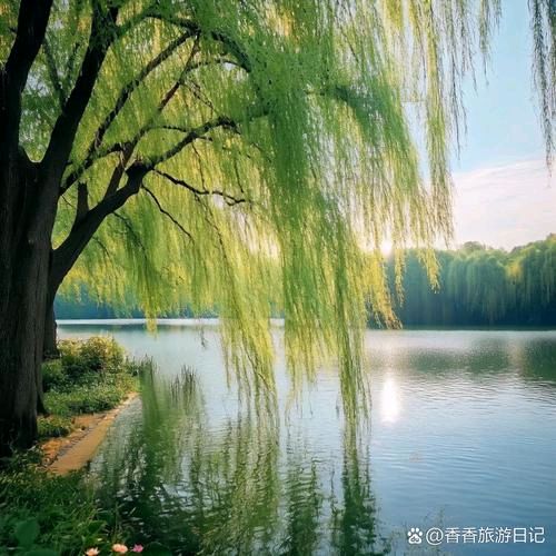 杨喜彬老师新诗欣赏（图2）