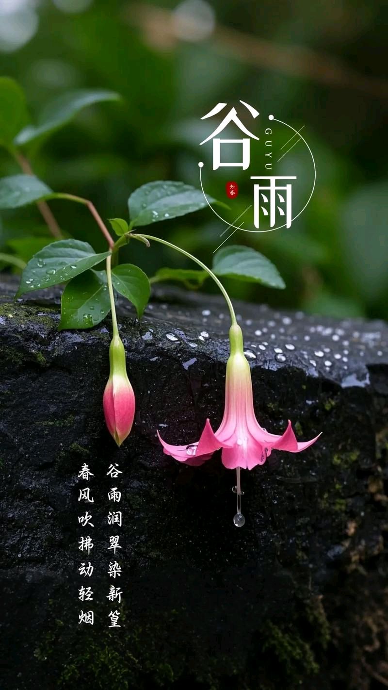 杨喜彬老师新诗欣赏