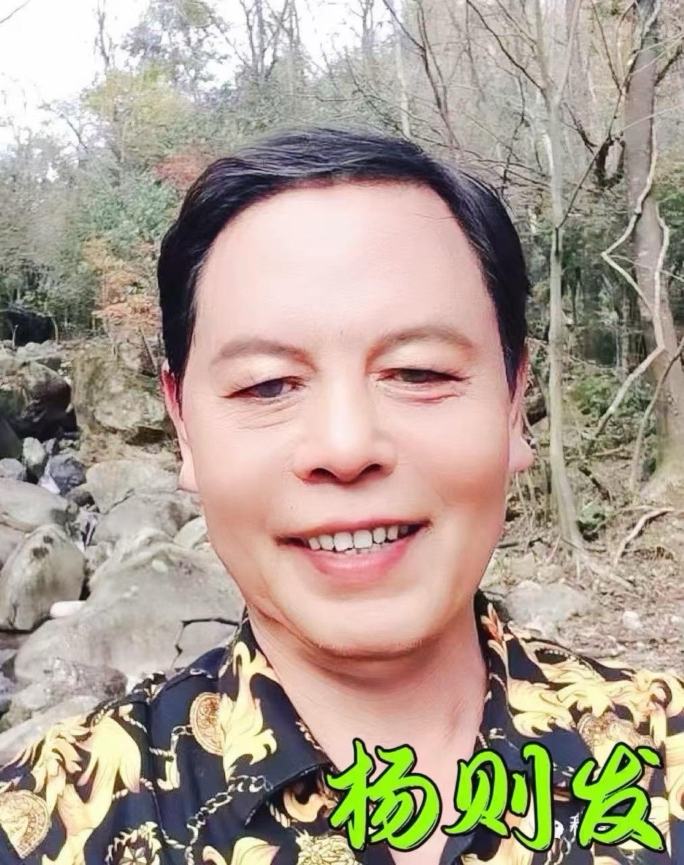 海外头条：杨则发的现代诗《杏花雨》二首（图7）
