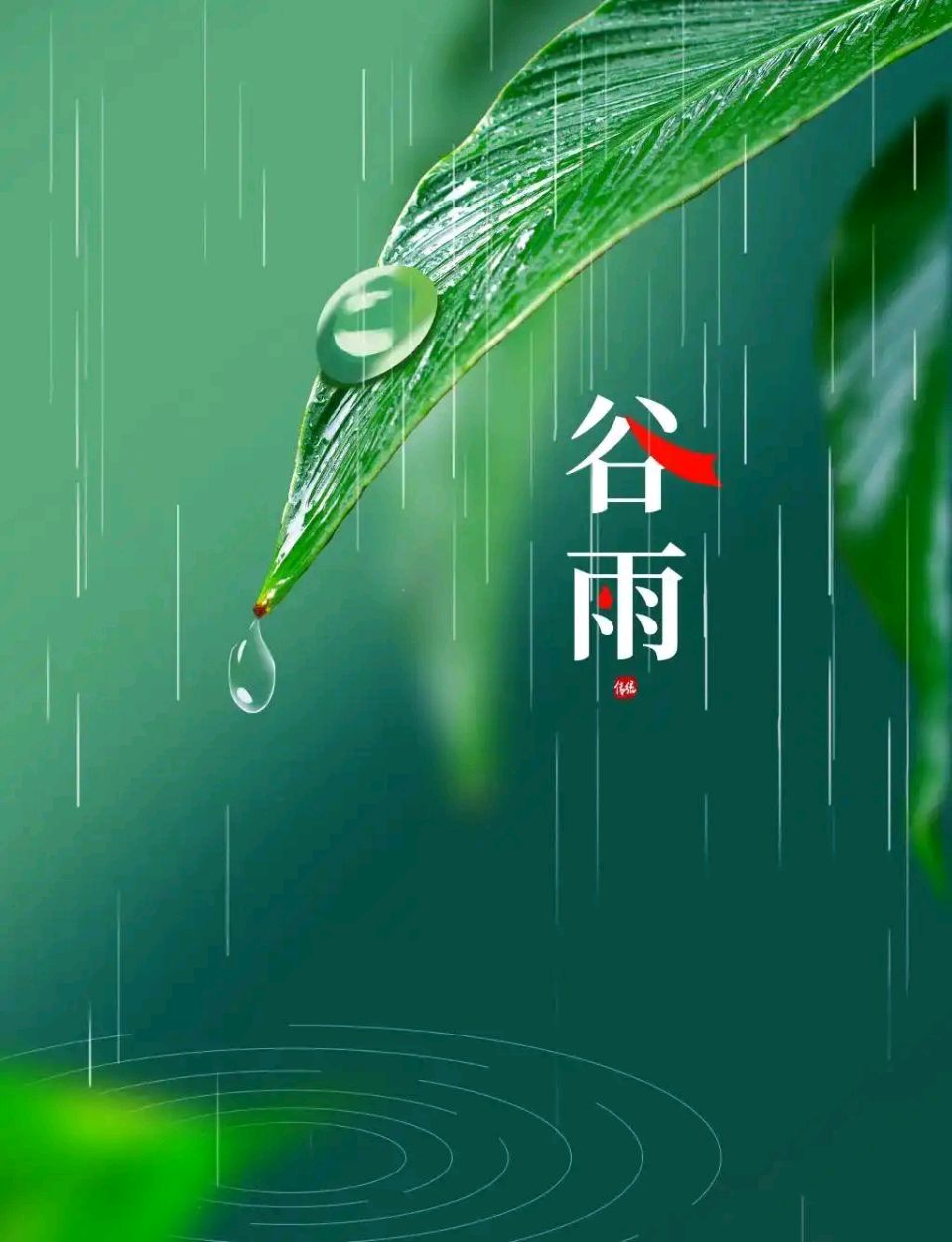 聆听 ‖ 赵秋云朗诵《雨润百谷、不负耕耘》作者/石志华（图4）