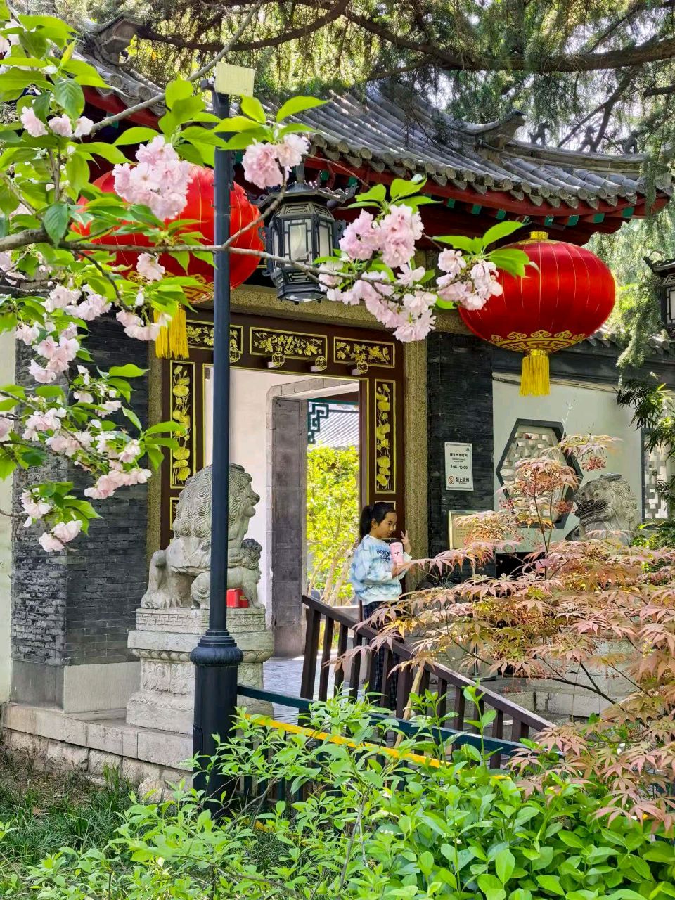 樱花映泉畔🌸（图7）