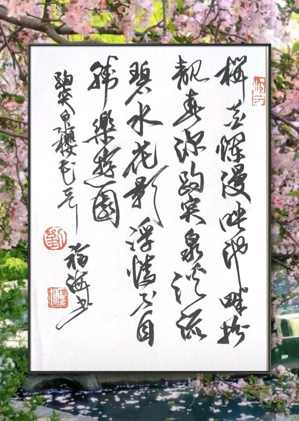 樱花映泉畔🌸