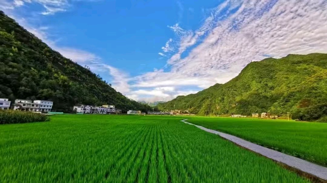 【荣耀中国】文学社*七律·谷雨临作者/李德政（安康）（图6）