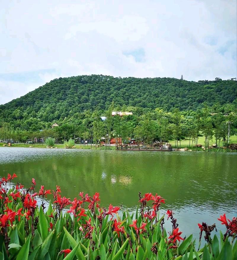 七律·南宁秀山公园 作者:刘海芹（吉林）（图4）