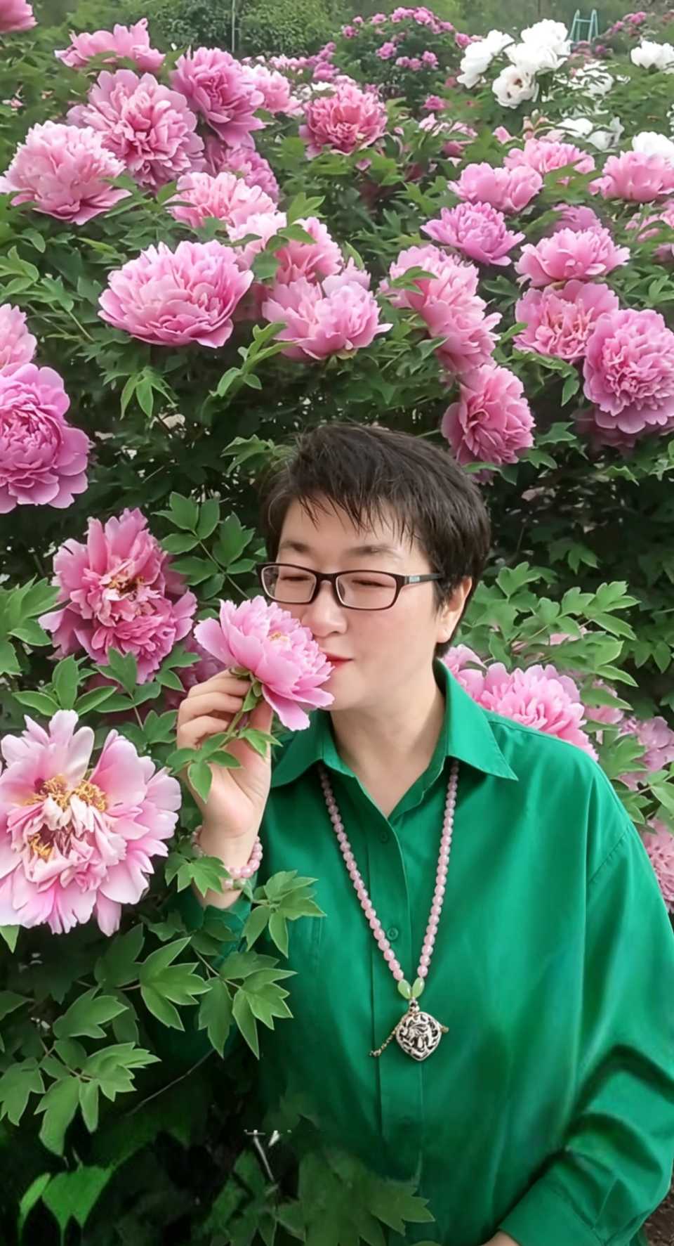 【南京头条】国色祀*大唐牡丹祭〔原创诗文/柴永红〕(图12)