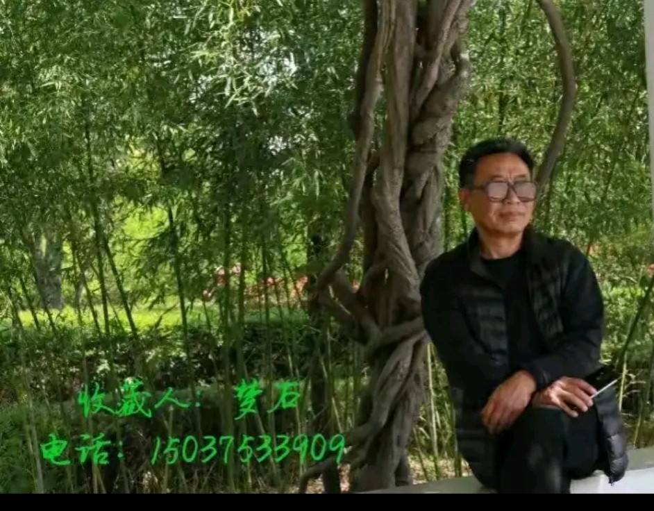 石界“五虎”赶鹰城 一一平顶山第四届蓝鹰杯奇石展侧记（图10）