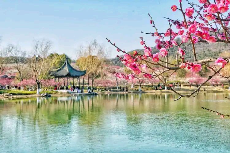 六汪文联格律诗社（总第993期）好雨知时节 当春乃发生（图2）