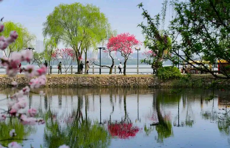 六汪文联格律诗社（总第993期）好雨知时节 当春乃发生（图4）